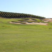 The Course, Wente Vineyards, golf in Northern golf in California, California, Golf, Golf Destination review, Golf holidays in Northern California, golf tours in Northern California, Golf holidays in California, golf tours in California, Golf holidays, golf tours